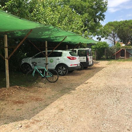 Agriturismo Il Podere Vedelago Con San Bernardo, Alpaca E Una Pentola Di Cose Da Scoprire Ngoại thất bức ảnh