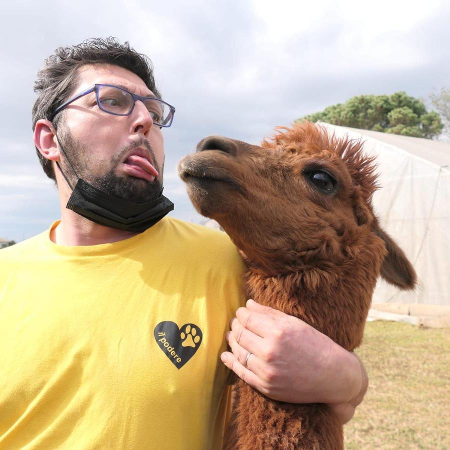Agriturismo Il Podere Vedelago Con San Bernardo, Alpaca E Una Pentola Di Cose Da Scoprire Ngoại thất bức ảnh