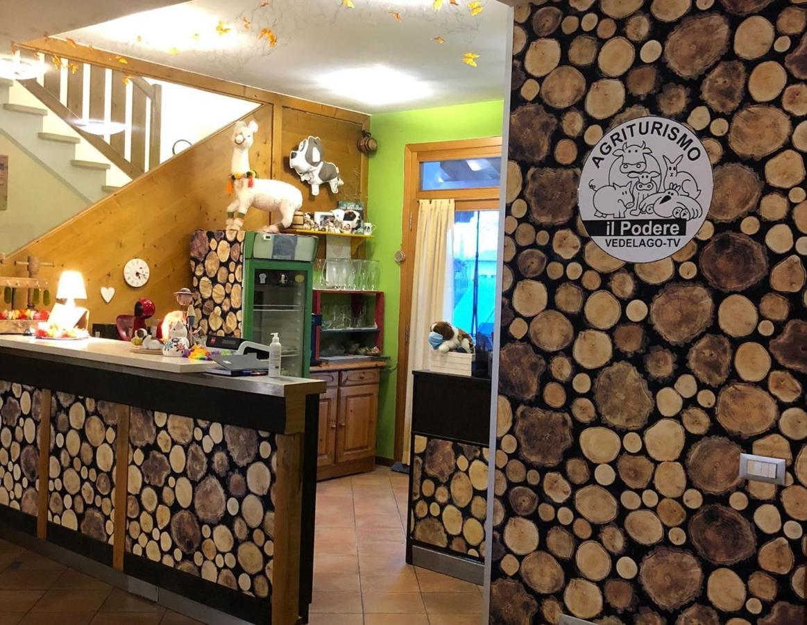 Agriturismo Il Podere Vedelago Con San Bernardo, Alpaca E Una Pentola Di Cose Da Scoprire Ngoại thất bức ảnh