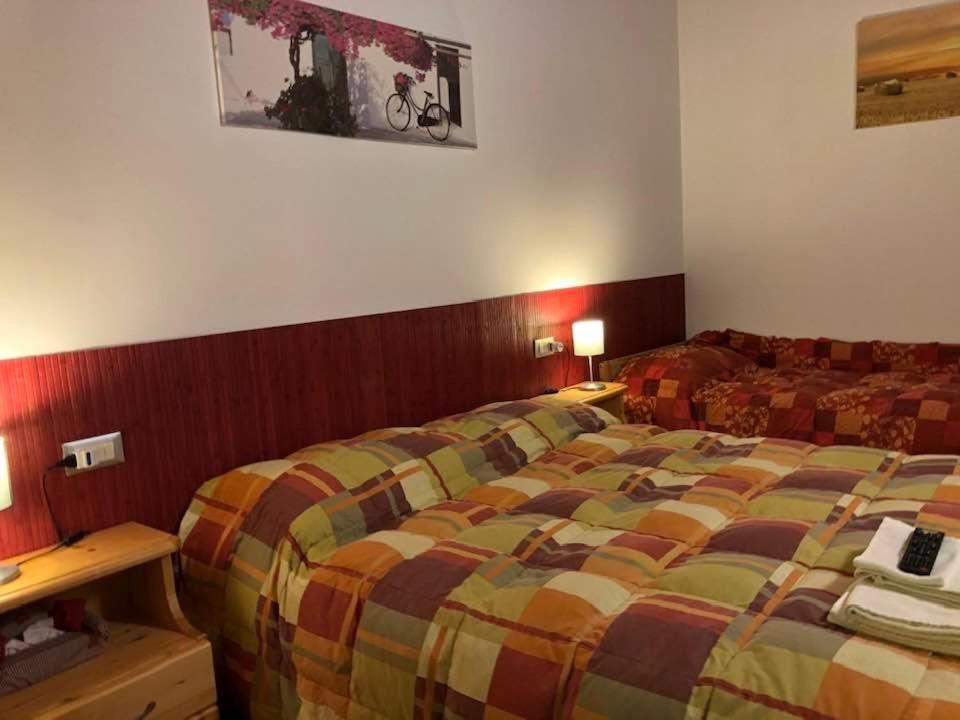 Agriturismo Il Podere Vedelago Con San Bernardo, Alpaca E Una Pentola Di Cose Da Scoprire Ngoại thất bức ảnh