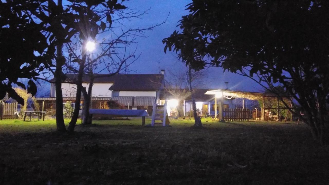 Agriturismo Il Podere Vedelago Con San Bernardo, Alpaca E Una Pentola Di Cose Da Scoprire Ngoại thất bức ảnh