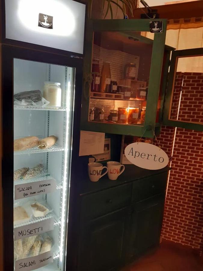 Agriturismo Il Podere Vedelago Con San Bernardo, Alpaca E Una Pentola Di Cose Da Scoprire Ngoại thất bức ảnh