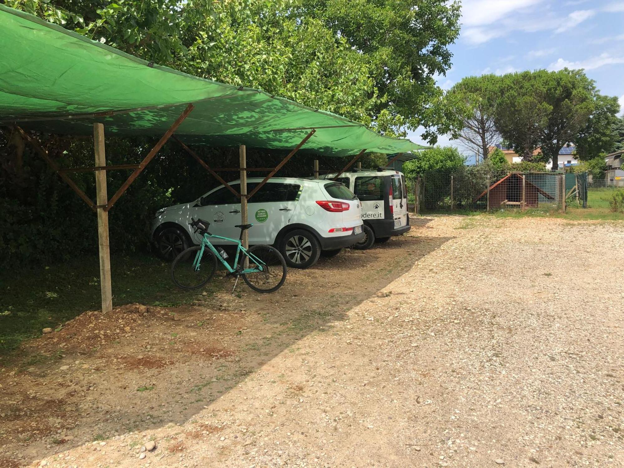 Agriturismo Il Podere Vedelago Con San Bernardo, Alpaca E Una Pentola Di Cose Da Scoprire Ngoại thất bức ảnh