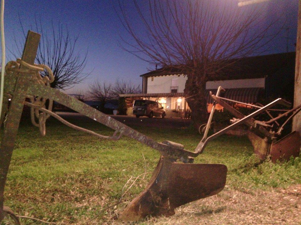 Agriturismo Il Podere Vedelago Con San Bernardo, Alpaca E Una Pentola Di Cose Da Scoprire Ngoại thất bức ảnh
