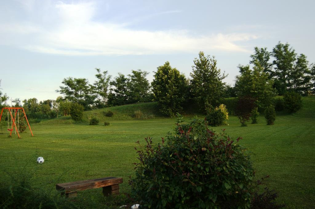 Agriturismo Il Podere Vedelago Con San Bernardo, Alpaca E Una Pentola Di Cose Da Scoprire Ngoại thất bức ảnh