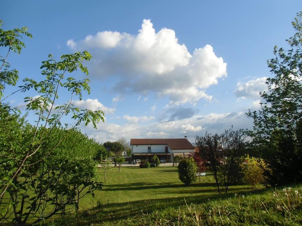 Agriturismo Il Podere Vedelago Con San Bernardo, Alpaca E Una Pentola Di Cose Da Scoprire Ngoại thất bức ảnh