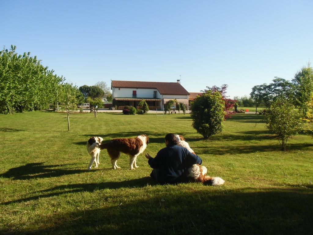 Agriturismo Il Podere Vedelago Con San Bernardo, Alpaca E Una Pentola Di Cose Da Scoprire Ngoại thất bức ảnh